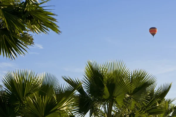 Ballong över palmer — Stockfoto
