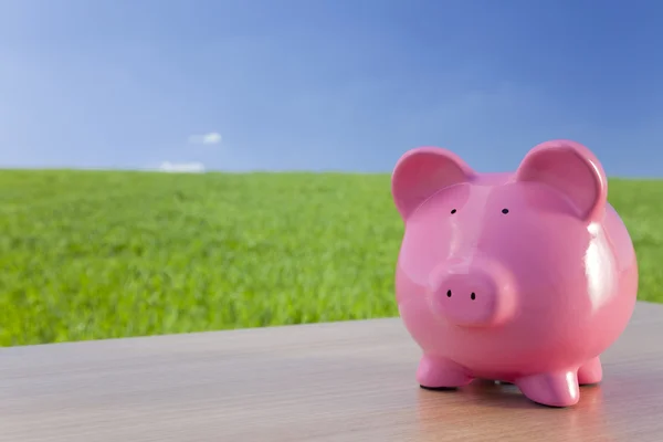 stock image Pink Piggy Bank In A Green Field