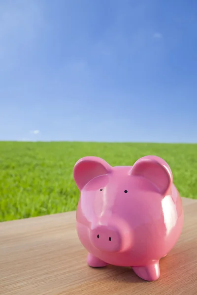 Pink Piggy Bank In A Green Field — Stock Photo, Image