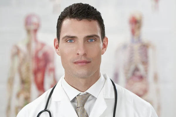 Мужской врач в больнице с диаграммами анатомии человека — стоковое фото