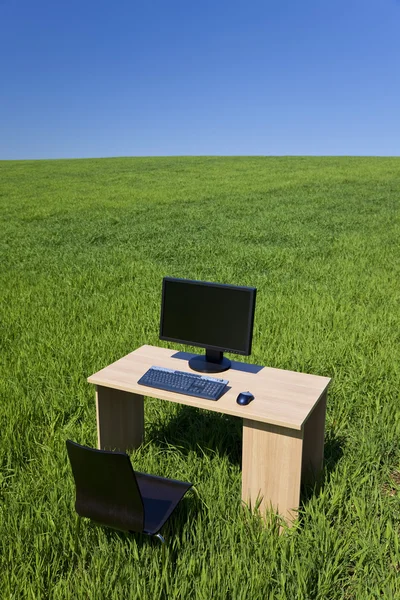 Skrivbord och dator i grönt fält med blå himmel — Stockfoto