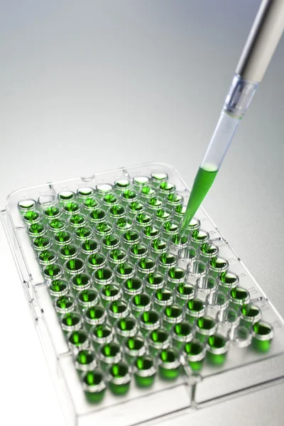 Investigación científica de solución verde con una pipeta y una placa celular —  Fotos de Stock