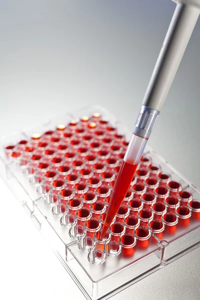 Wissenschaftliche Untersuchung von Blutproben mit Pipette und Zellplatte — Stockfoto