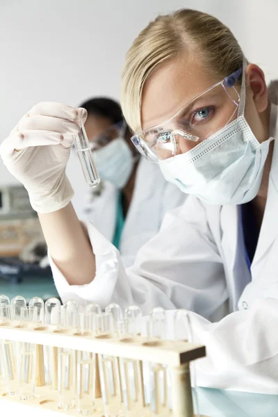 Cientista ou médica com solução clara em laboratório — Fotografia de Stock