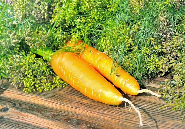 Zanahorias sobre la mesa. — Foto de Stock