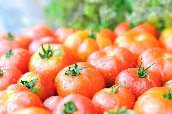 Čerstvá rajčata. — Stock fotografie