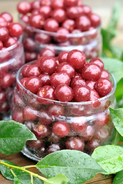 Cherries in glass jars. — Stock Photo, Image