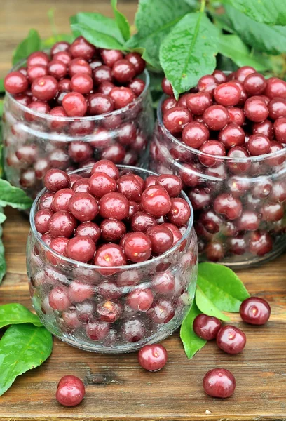 Fresh cherries. — Stock Photo, Image