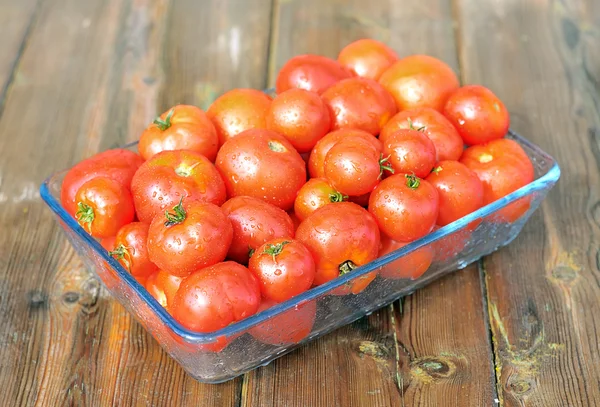 Świeże pomidory. — Zdjęcie stockowe