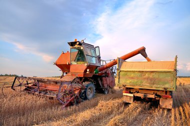 Combine harvesting clipart