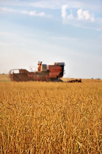 Harvester in the field — Stock Photo, Image