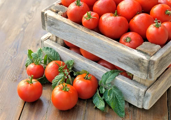 Tomato on the table. — Stock Photo, Image