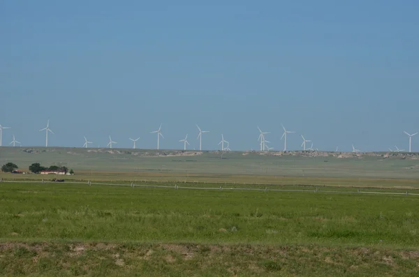 Muchos molinos de viento —  Fotos de Stock