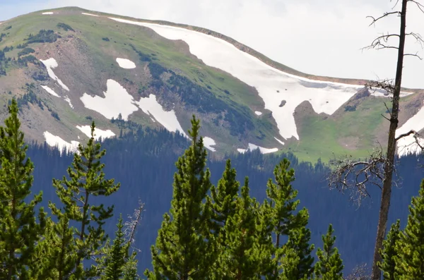 Высокая страна Колорадо — стоковое фото