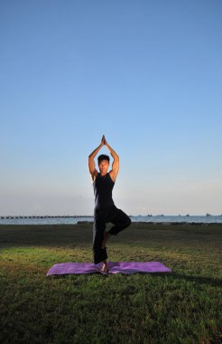 denize yakın bir bahçede yoga yaparken Asyalı Çinli
