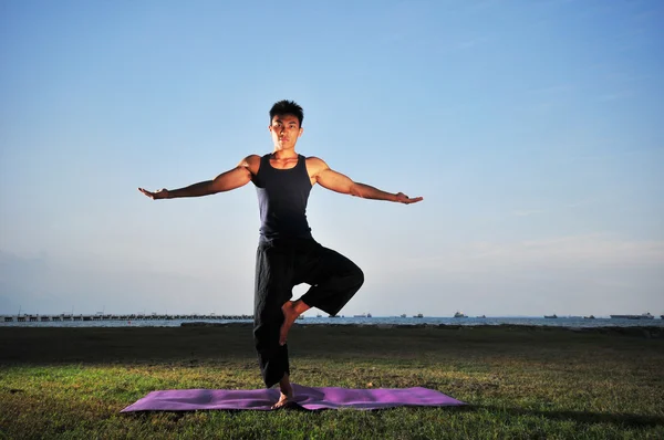 Asian chinese man doing yoga in a garden near the sea — Stock Photo, Image