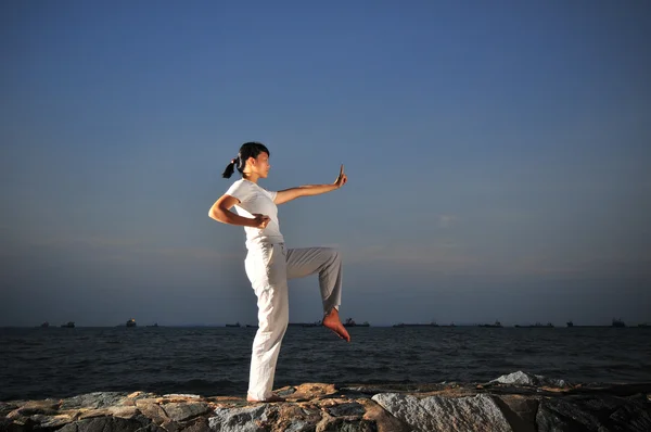 Asiática china dama practica kungfu cerca del mar — Foto de Stock