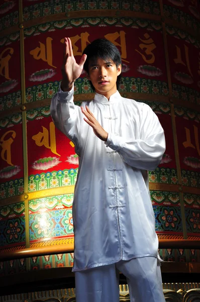 Asiático chino hombre en varios artes marciales lucha poses —  Fotos de Stock