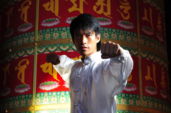Asian Chinese Man in various martial arts fighting poses