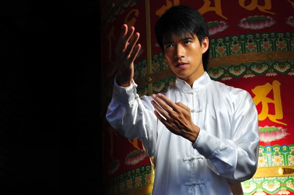 Asiatico cinese uomo in varie arti marziali combattimento pose — Foto Stock