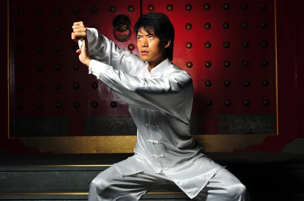 Asiatischer Chinese in verschiedenen Kampfsportpositionen — Stockfoto