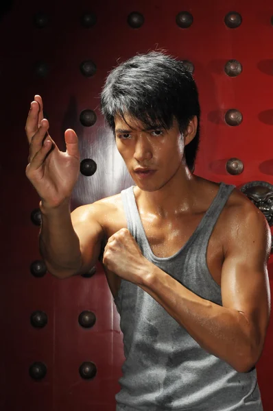 Asiático chino hombre en varios artes marciales lucha poses — Foto de Stock