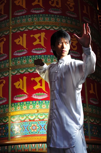 Asiatisk kinesisk man i olika kampsporter kämpar poser — Stockfoto