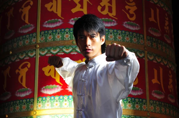Asiatico cinese uomo in kungfu staces — Foto Stock