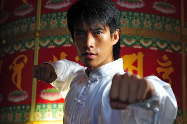 Asijské Číňan v kungfu staces — Stock fotografie