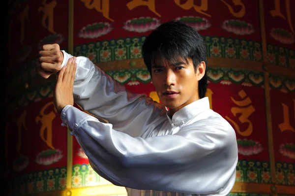 Asiatisch chinesisch mann im kungfu staces — Stockfoto