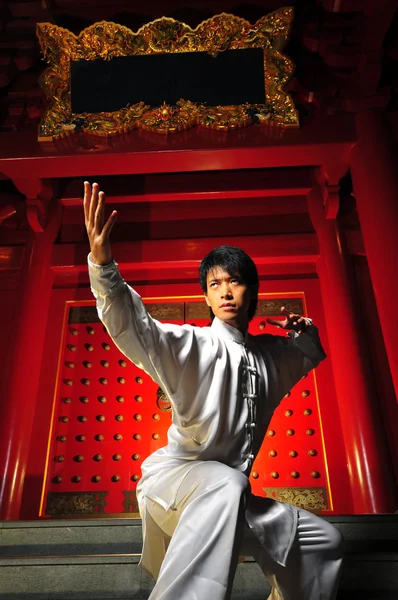 Asiático chino hombre en kungfu staces —  Fotos de Stock
