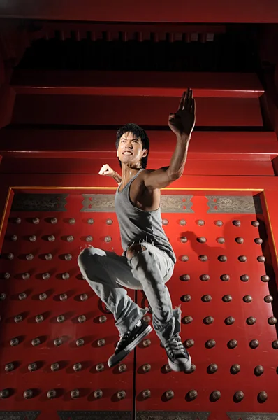 Masculino asiático chino Kungfu luchador en varias poses — Foto de Stock