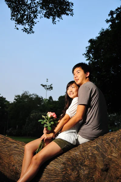 Ázsiai kínai pár a szerelem egy parkban — Stock Fotó