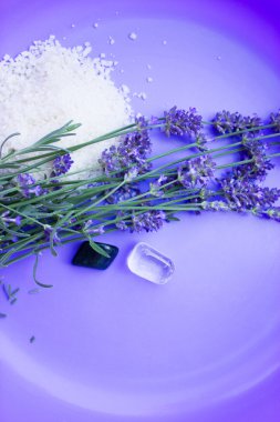 Lavender and two mineral stones clipart