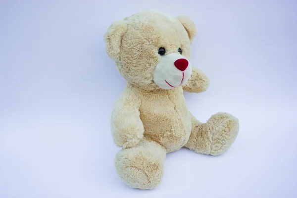 stock image Bear toy