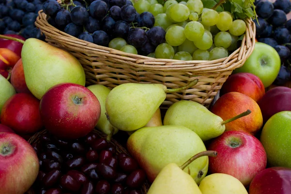 Handfull färsk frukt — Stockfoto