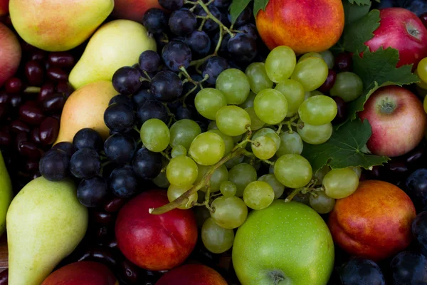 Frutta fresca biologica — Foto Stock