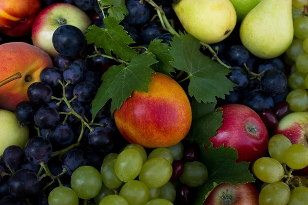 Fruta orgânica fresca — Fotografia de Stock