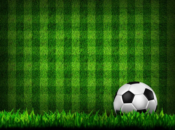 Fotboll fotboll på gräsplan — Stockfoto