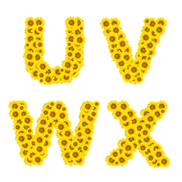 Slunečnice abeceda izolovaných na bílém pozadí — Stock fotografie