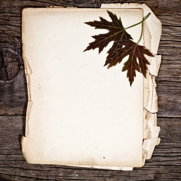 Javorové listy na papíře — Stock fotografie