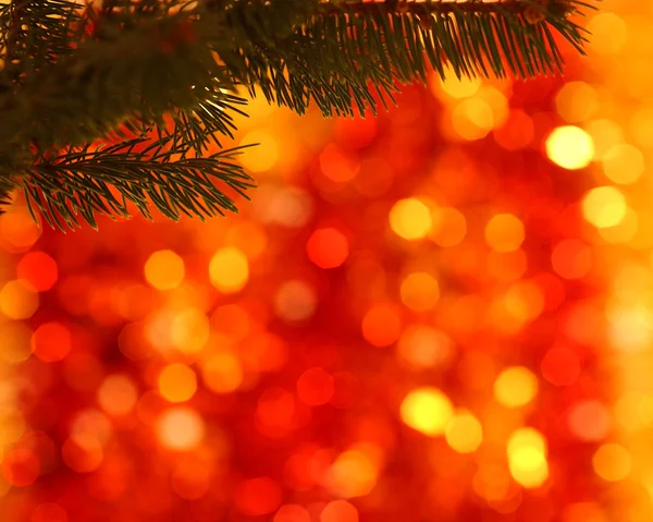 Ramo da árvore de Natal — Fotografia de Stock