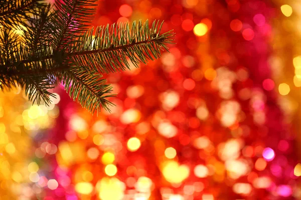 クリスマス ツリーの枝 — ストック写真