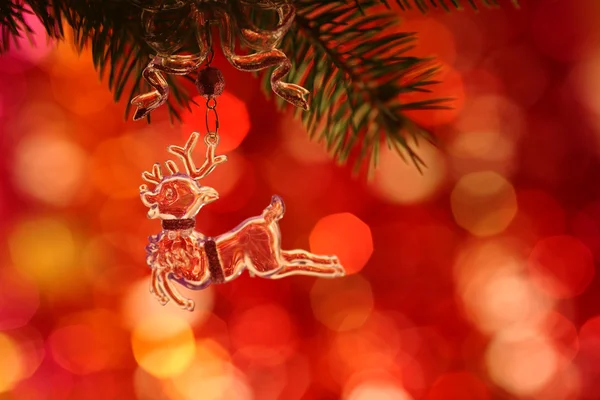 クリスマスの鹿 — ストック写真