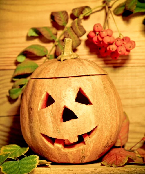 Ručně vyráběné halloween dýně — Stock fotografie