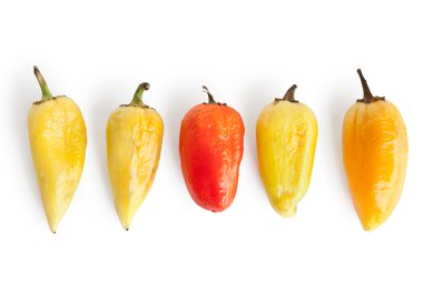 Five pepper with wrinkles clipart