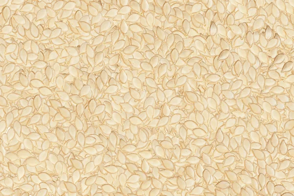 Nasiona dyni tła — Zdjęcie stockowe