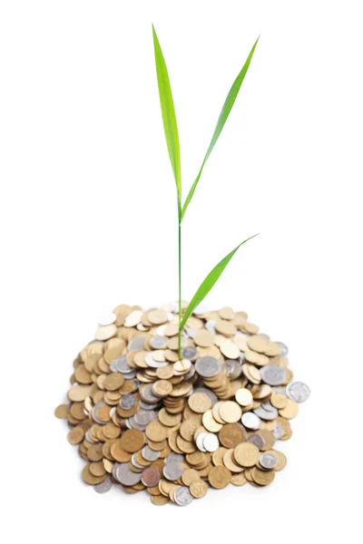 Young green plant is growing out of heap of coins isolated on wh — Stock Photo, Image