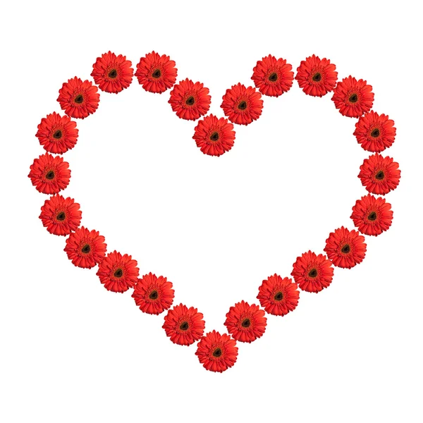 Herz aus roten Gerbera-Blüten isoliert auf weißem Hintergrund. val — Stockfoto