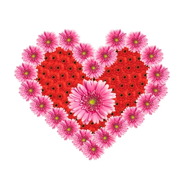 Corazón de flores de gerberas aisladas sobre fondo blanco. Valenti. —  Fotos de Stock